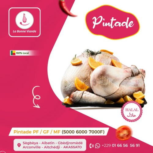 Pintade Grand Format