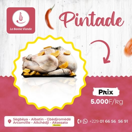 Pintade Petit Format