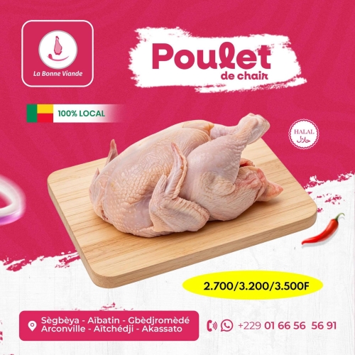 Poulet de chair Maxi Format