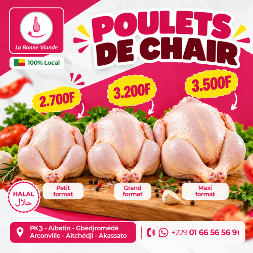 Poulet de chair Maxi Format
