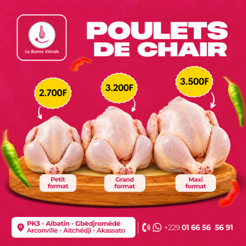 Poulet de chair Maxi Format
