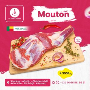 Mouton frais