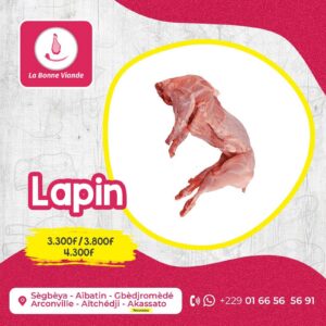 Lapin Petit Format
