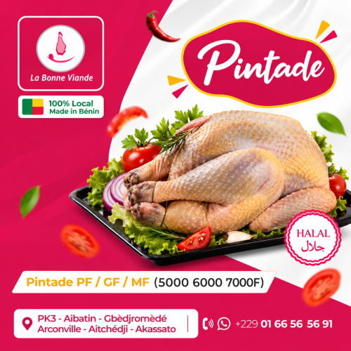 Pintade Grand Format